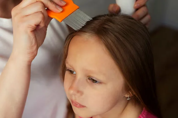 Lice Treatment