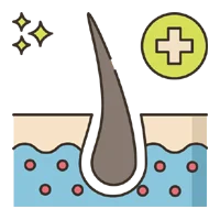 Complete Hair Restoration Solutions
